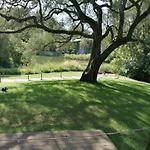 公寓 In Centre Of Near Gulbenkien Garden