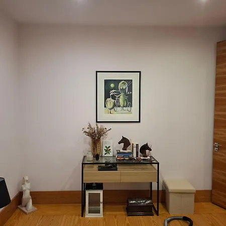 Apartment In Centre Of Near Gulbenkien Garden